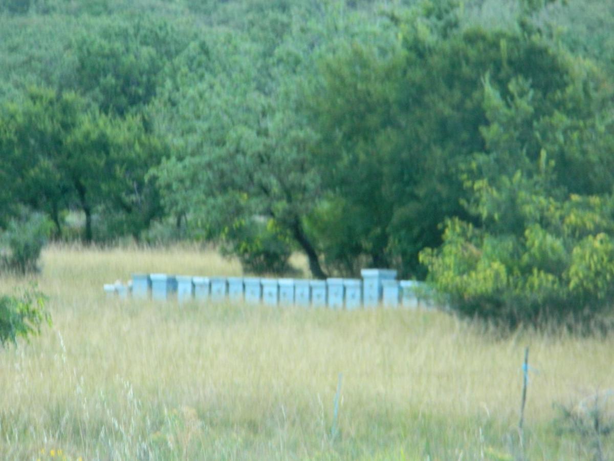 Stara BaškaLibera1公寓 外观 照片