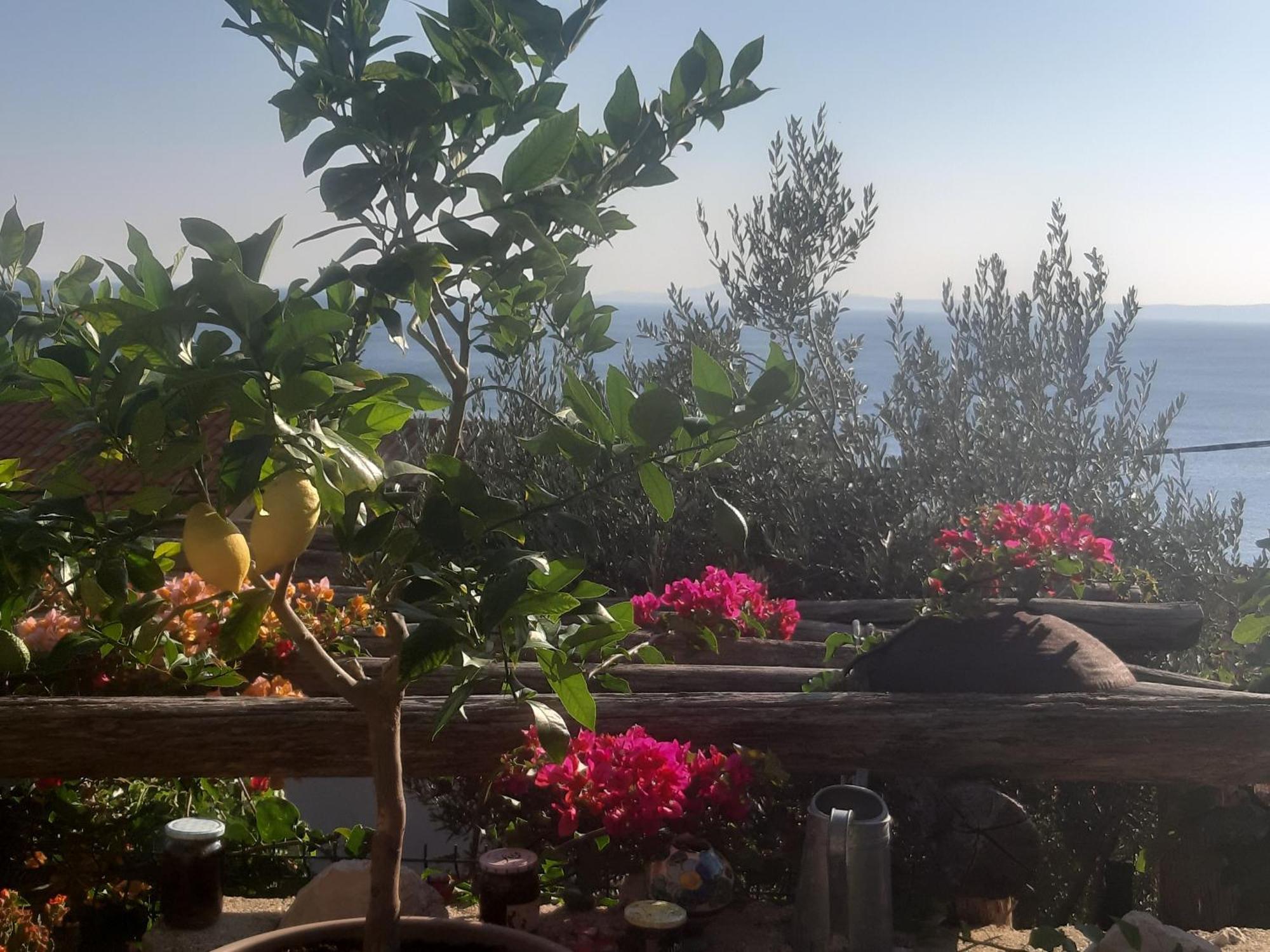 Stara BaškaLibera1公寓 外观 照片